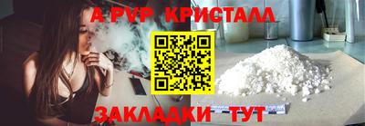 спайс Кингисепп