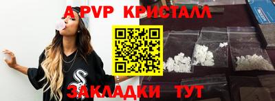 СК Кандалакша