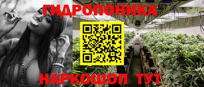 jwh Кинель