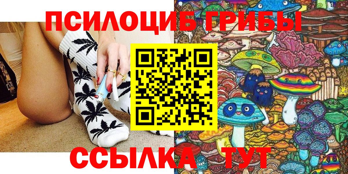 Псилоцибиновые грибы MAGIC MUSHROOMS  Вход с VPN  Будённовск  Псилоцибиновые грибы Psilocybe 