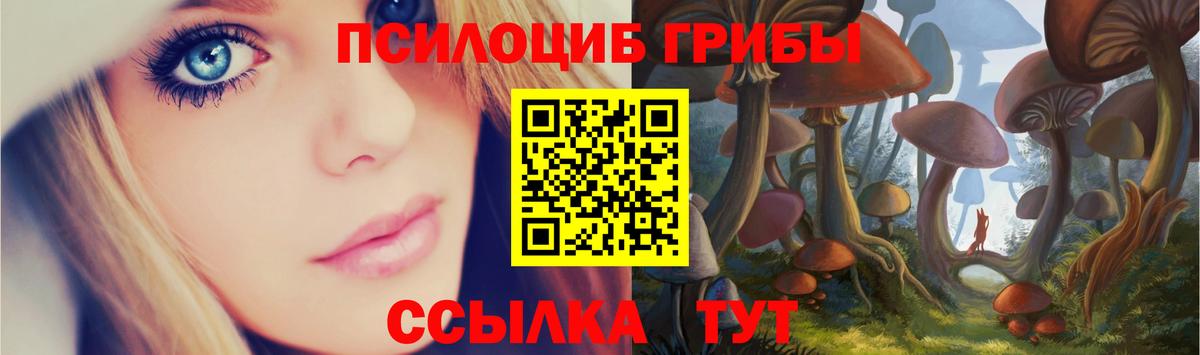 Псилоцибиновые грибы Psilocybine cubensis Будённовск